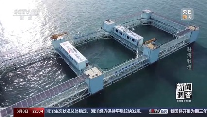 耕海牧漁 深遠海海水養殖技術的探索與研發