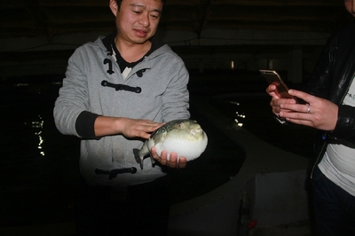 大連啟航“海魚陸?zhàn)B”保險(xiǎn)，海水養(yǎng)殖技術(shù)研發(fā)迎來新機(jī)遇